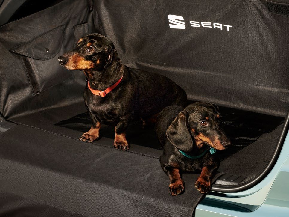 Dois cães na bagageira do SEAT Arona, a mostrar a grelha de separação e o protetor de bagageira